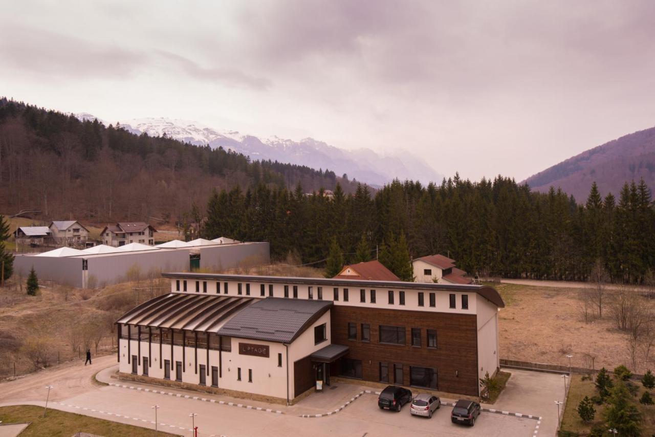 Castle Suite Sinaia Exterior foto